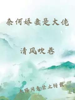 奈何娇妻是大佬