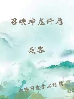 召唤神龙许愿