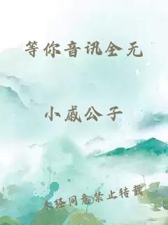 等你音讯全无