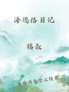 海德格日记