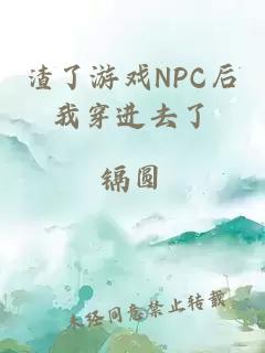 渣了游戏NPC后我穿进去了