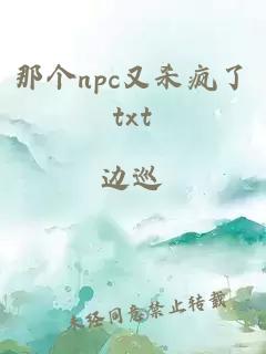 那个npc又杀疯了txt